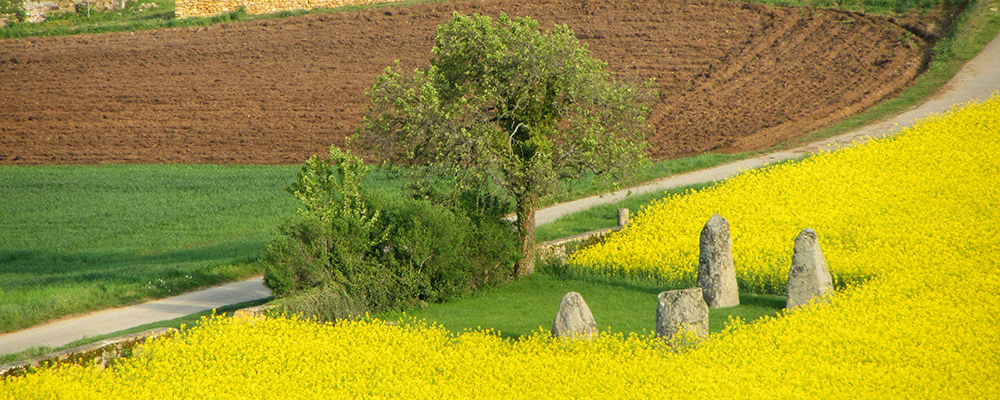 Menhirs